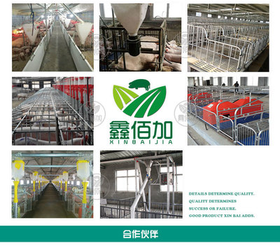 鑫佰加畜牧設(shè)備 專業(yè)打造犢牛用奶壺，助力高效養(yǎng)殖