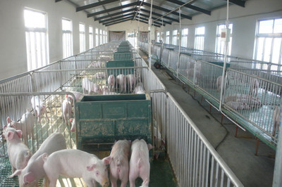 在希望的田野唱響“新農(nóng)歌” 揚(yáng)州張家村畜牧設(shè)備技術(shù)開(kāi)發(fā)的振興之路